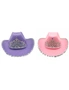 2PK Princess Cowboy Hat Assorted, hi-res