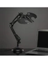 Batman Batwing Posable Desk/Tabletop LED 60cm Night Light Home Decor Lamp Black, hi-res