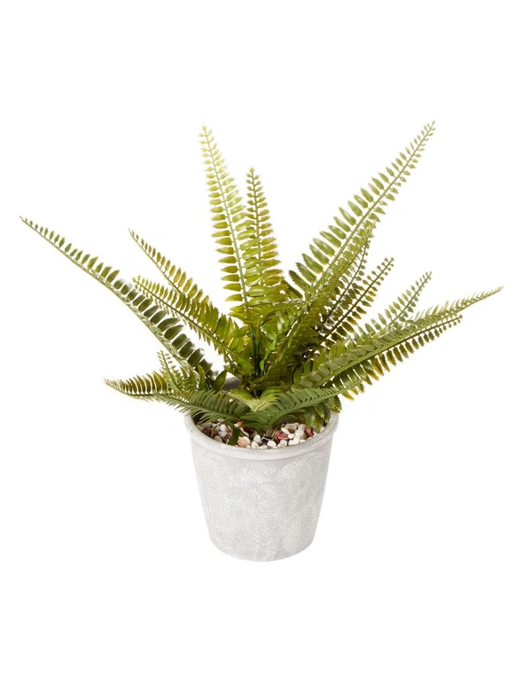 Cooper & Co Boston Artificial Indoor Decorative Plant Leafy Fern Green 30 cm, hi-res image number null