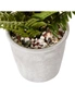Cooper & Co Boston Artificial Indoor Decorative Plant Leafy Fern Green 30 cm, hi-res