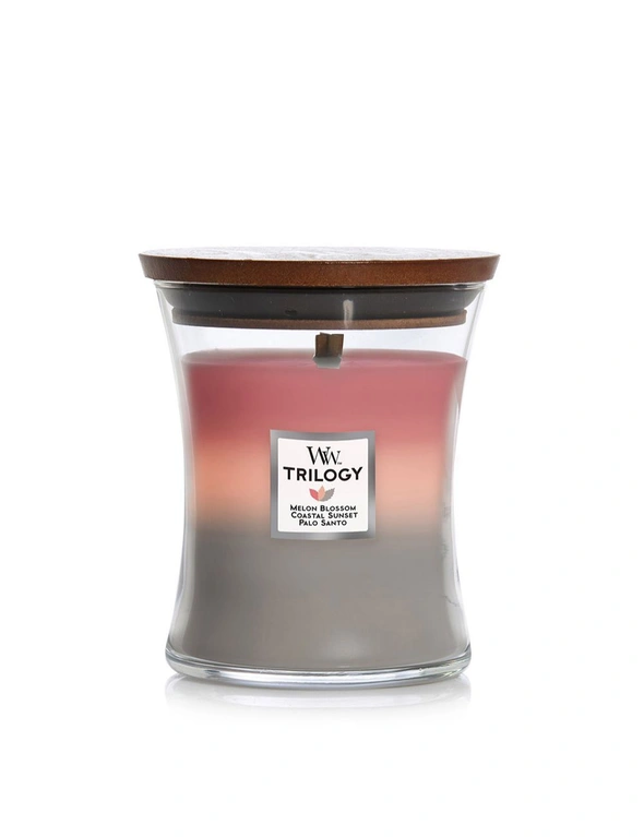 WoodWick Shoreline Trilogy Scented Crafted Candle Glass Jar Wax w/ Lid Medium, hi-res image number null
