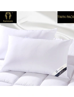 Ramesses Hypoallergenic Silk Twin Pack Pillow