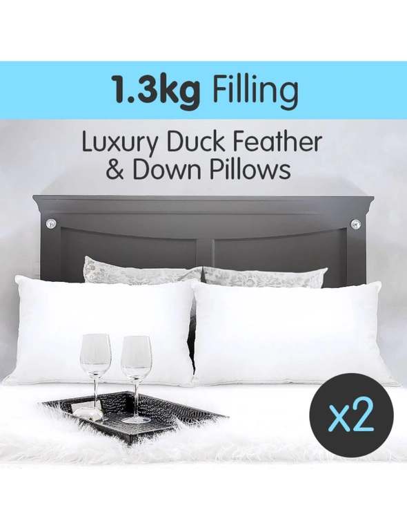 Duck Down Feather Pillow Twin Set - 1.3kg, hi-res image number null