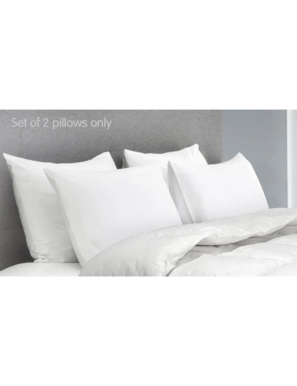 Duck Down Feather Pillow Twin Set - 1.3kg, hi-res image number null