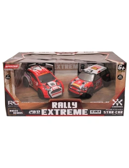 Extreme Twin Remote Control Rally Racing Car