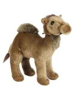 Baby Camel Plush Toy 22cm