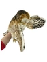 Owl Hand Puppet - Barn, hi-res