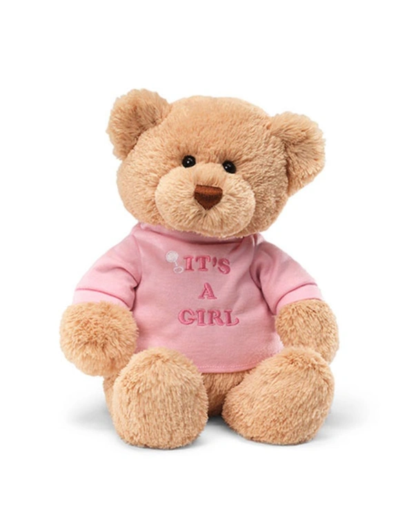 Gund Message Bear - It's A Girl, hi-res image number null