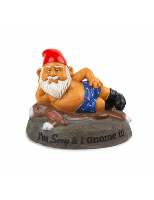BigMouth Garden Gnome - Sexy & Gnome It, hi-res image number null