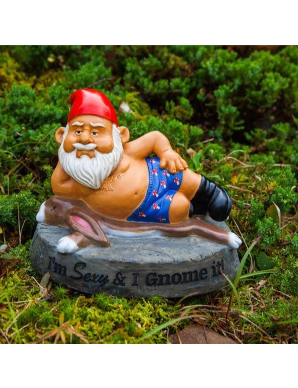 BigMouth Garden Gnome - Sexy & Gnome It, hi-res image number null