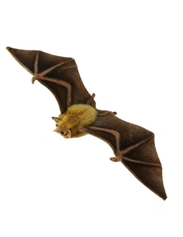 Hansa Orange Nectar Bat (42cm W)