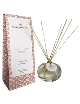 Plantes & Parfums Fragrance Diffuser - Frosted Rose