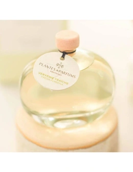 Plantes & Parfums Fragrance Diffuser - Frosted Rose