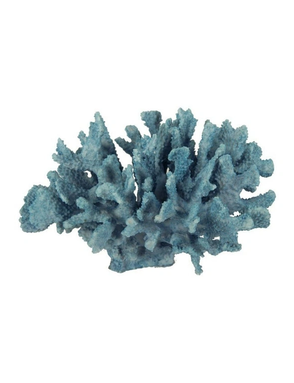 Faux Blue Coral B, hi-res image number null