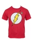 DC Comics The Flash Symbol Glow Ink Youth T-Shirt, hi-res