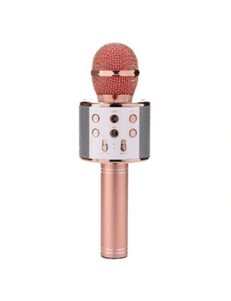 Portable Wireless Karaoke Microphone