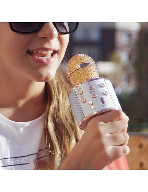 Portable Wireless Karaoke Microphone, hi-res image number null