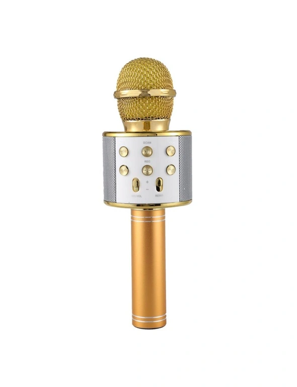 Portable Wireless Karaoke Microphone, hi-res image number null