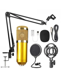 Karaoke Microphone Bm 800 Studio Condenser Microphone for Broadcasting Singing and Recording