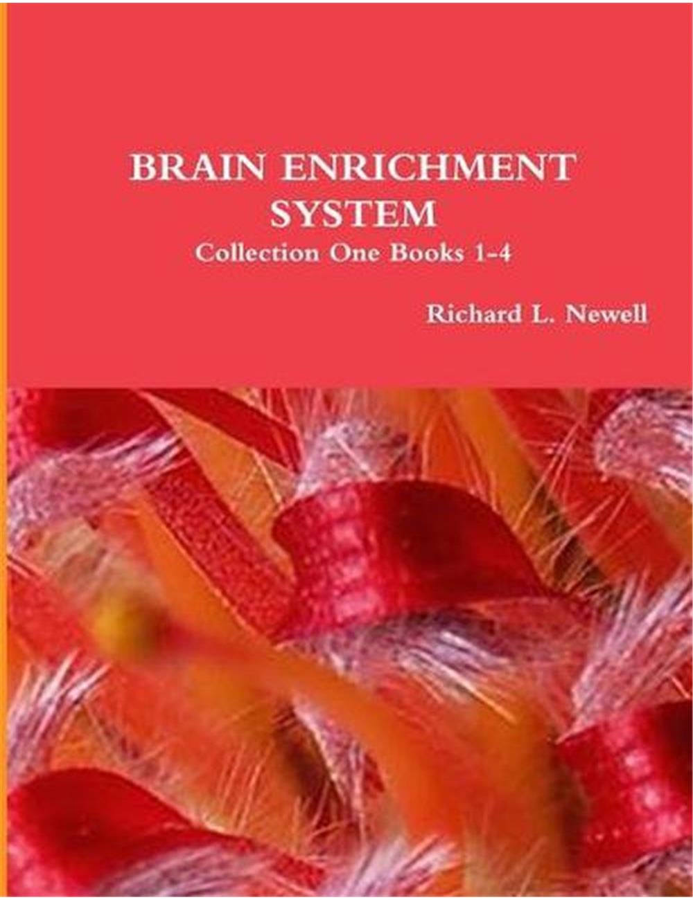 Brain Enrichment System Collection One Books 1-4 | Millers