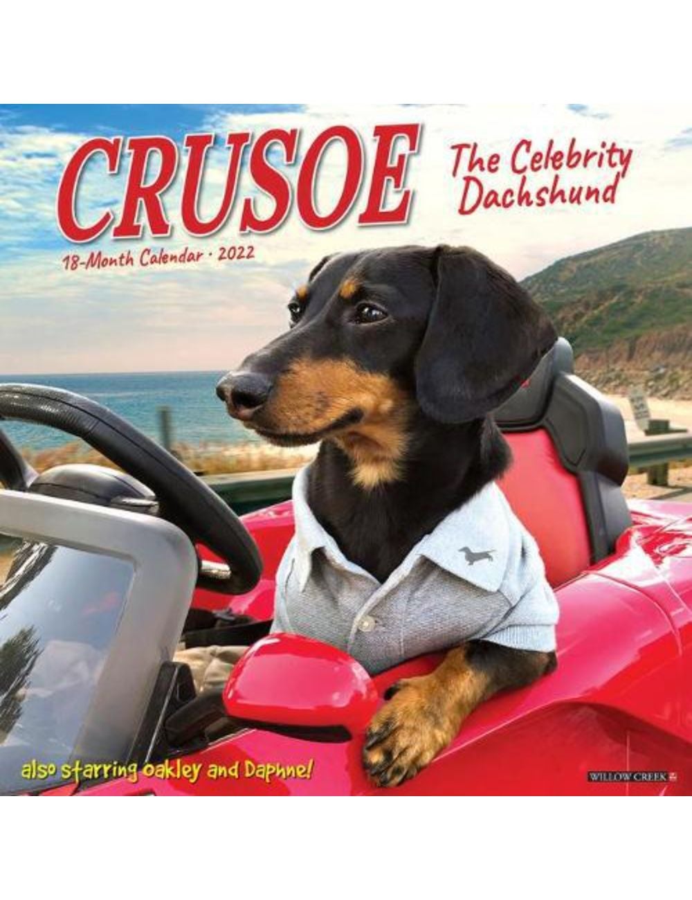 Crusoe the Celebrity Dachshund 2022 Wall Calendar Ezibuy New Zealand