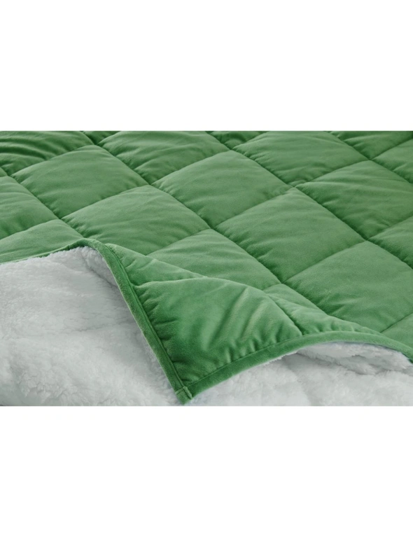 NNEKGE Sherpa Weighted Blanket (Jade 11 KG), hi-res image number null