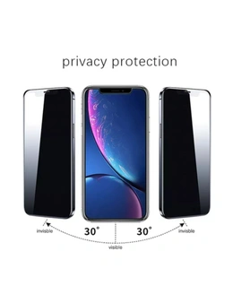 VOCTUS iPhone 14 Pro Privacy Temple Glass Screen Protector 2Pcs (Raw)
