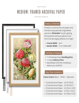 Wall Art Work Painting | Waratah by Australian Artist Chris Stone | Print on Archival Paper / Framed / Deluxe Canvas