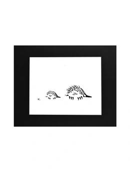 Rovan Echidna Matted Print 11x14 inches