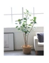 SOGA 4X 150cm Green Artificial Indoor Pocket Money Tree Fake Plant Simulation Decorative, hi-res