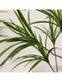 SOGA 2X 150cm Green Artificial Indoor Dragon Blood Tree Fake Plant Simulation Decorative, hi-res