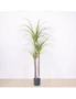 SOGA 145cm Green Artificial Indoor Dragon Blood Tree Fake Plant Decorative, hi-res