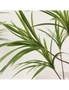 SOGA 145cm Green Artificial Indoor Dragon Blood Tree Fake Plant Decorative, hi-res