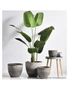 SOGA 32cm Rock Grey Round Resin Plant Flower Pot in Cement Pattern Planter Cachepot for Indoor Home Office, hi-res