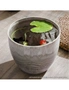 SOGA 32cm Rock Grey Round Resin Plant Flower Pot in Cement Pattern Planter Cachepot for Indoor Home Office, hi-res