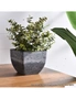 SOGA 27cm Weathered Grey Square Resin Plant Flower Pot in Cement Pattern Planter Cachepot for Indoor Home Office, hi-res