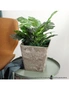 SOGA 27cm Sand Grey Square Resin Plant Flower Pot in Cement Pattern Planter Cachepot for Indoor Home Office, hi-res