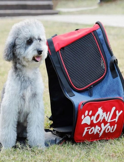 SOGA Red Pet Carrier Backpack Breathable Mesh Portable Safety Travel Essentials Outdoor Bag, hi-res image number null
