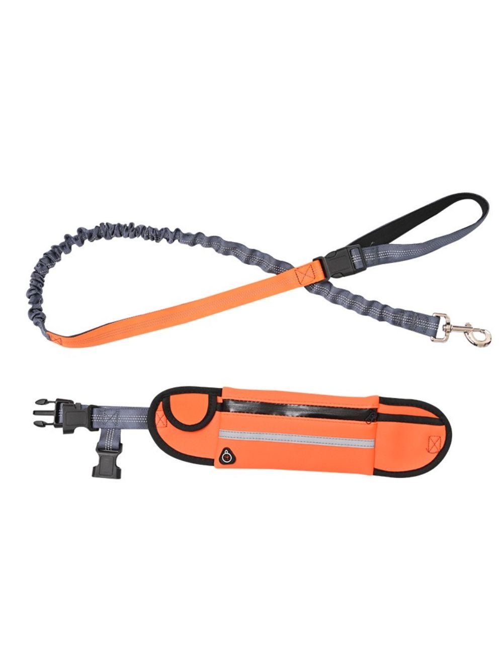 Orange leash clearance