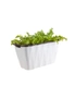 SOGA 35cm Small White Rectangular Flowerpot Vegetable Herb Flower Outdoor Plastic Box Garden Decor, hi-res