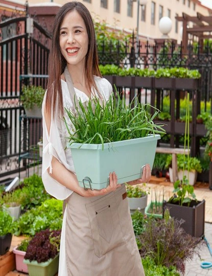 SOGA 49.5cm Green Rectangular Planter Vegetable Herb Flower Outdoor Plastic Box with Holder Balcony Garden Decor Set of 3, hi-res image number null