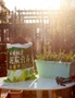SOGA 49.5cm Green Rectangular Planter Vegetable Herb Flower Outdoor Plastic Box with Holder Balcony Garden Decor Set of 3, hi-res
