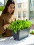 SOGA 49.5cm Black Rectangular Planter Vegetable Herb Flower Outdoor Plastic Box with Holder Balcony Garden Decor Set of 4, hi-res