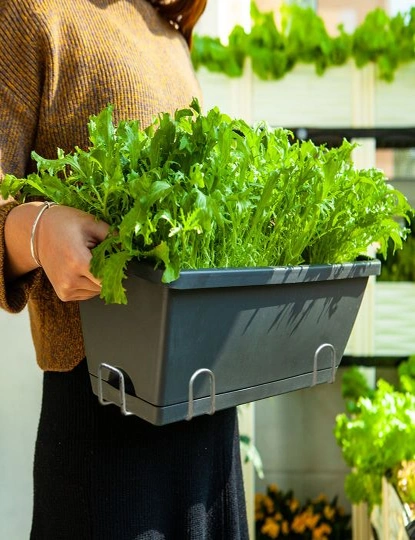 SOGA 49.5cm Black Rectangular Planter Vegetable Herb Flower Outdoor Plastic Box with Holder Balcony Garden Decor Set of 4, hi-res image number null