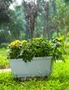 SOGA 49.5cm Blue Rectangular Planter Vegetable Herb Flower Outdoor Plastic Box with Holder Balcony Garden Decor Set of 4, hi-res