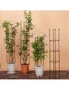 SOGA 103cm 4-Bar Plant Frame Stand Trellis Vegetable Flower Herbs Outdoor Vine Support Garden Rack with Rings, hi-res