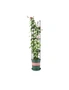 SOGA 133cm 4-Bar Plant Frame Stand Trellis Vegetable Flower Herbs Outdoor Vine Support Garden Rack with Rings, hi-res