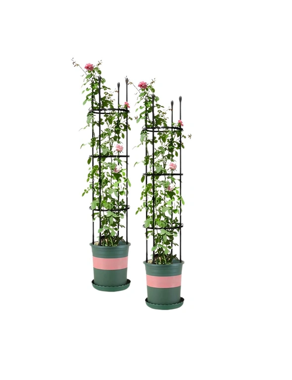 SOGA 2X 133cm 4-Bar Plant Frame Stand Trellis Vegetable Flower Herbs Outdoor Vine Support Garden Rack with Rings, hi-res image number null