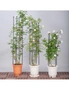 SOGA 163cm 4-Bar Plant Frame Stand Trellis Vegetable Flower Herbs Outdoor Vine Support Garden Rack with Rings, hi-res
