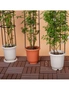 SOGA 2X 163cm 4-Bar Plant Frame Stand Trellis Vegetable Flower Herbs Outdoor Vine Support Garden Rack with Rings, hi-res